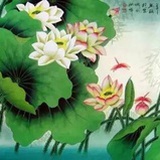 溪溪