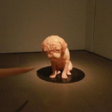 圆圆画不方。