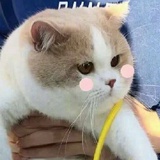梦想家