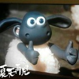 o波飞o