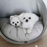 还可以吧