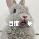 阳