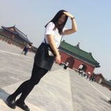 一只本命年的琴