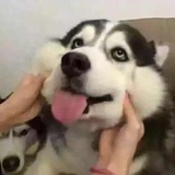 奇妙能力
