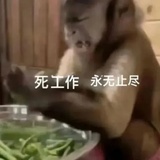 都是吗喽