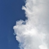 昵称