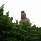 小双