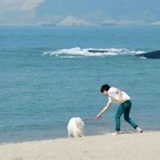 不意外。