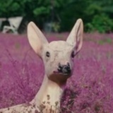 小福贵