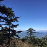 贝婕