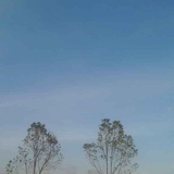 棱