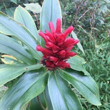 慢悠悠