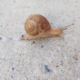 等等