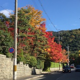 阿慧
