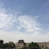 乐以忘忧