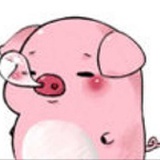 小小柿子