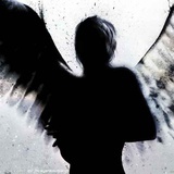 Angel 浪惊云