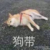 裂解纪