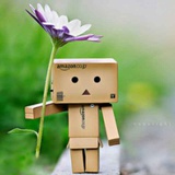 摇曳多姿的小葱