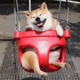 小财迷