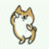 ashcwqkn