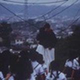 合欢
