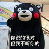 帘外芭蕉惹骤雨i