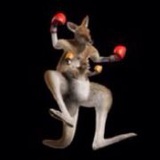 野生袋鼠