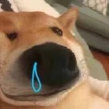 廉颇为你痛经