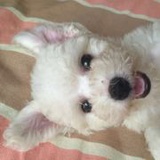 Yangmy_