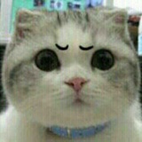 马路边上的少年