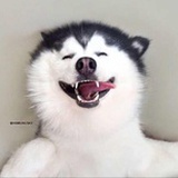 不韪