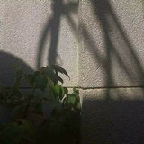 管江湖骗子
