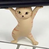 逆光