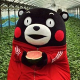 橘里