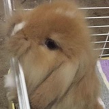 Mr. Wukay。
