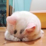 不许偷笑