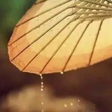 霖