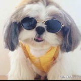 Lily