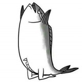 斜杠懒癌青年