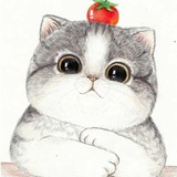 Olivia坚持日更