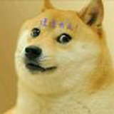 丹参汪