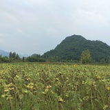 空心小妞