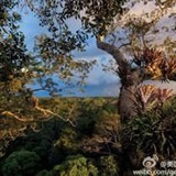 夏日午后一场球