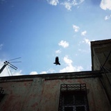 Andrey 陈