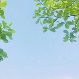 小文想要暖暖的
