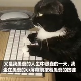 入北