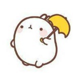西瓜兔。