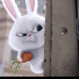 喜多Theodore