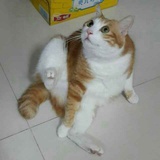 xhy
